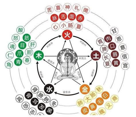 水生金 五行|五行生克关系图 五行相生相克详解